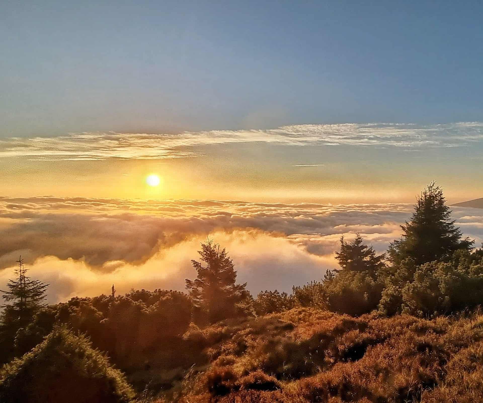 Horský výhled v zimě