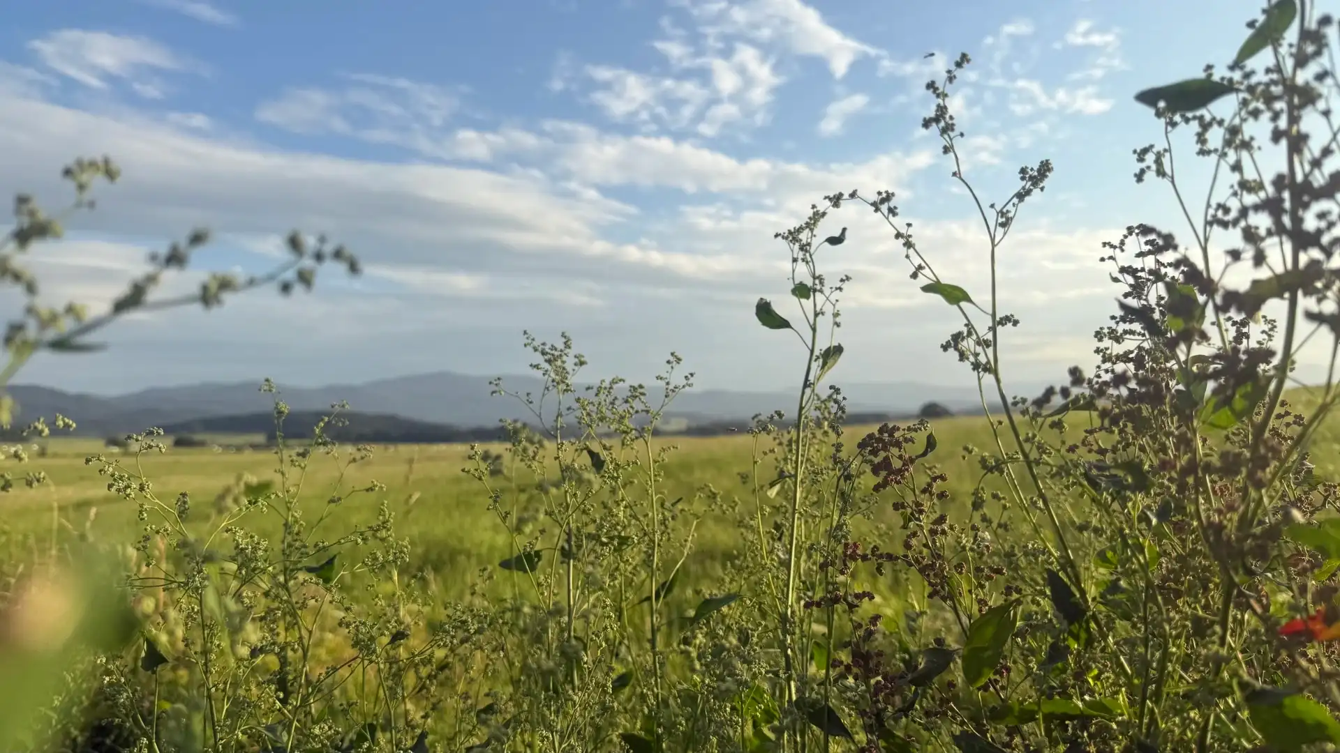 Rychlebské Mountains — your playground